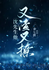 《沈先生他又渣又撩》小说封面