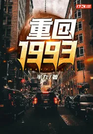 《重回1993》小说封面