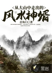 《从大山中走出的风水神婿》小说封面