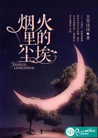 《烟火里的尘埃》小说封面