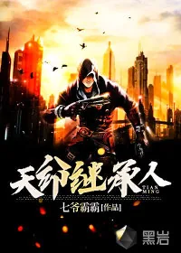 《天命继承人》小说封面