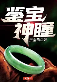 《鉴宝神瞳》小说封面