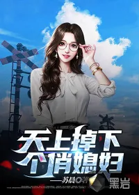 《天上掉下个俏媳妇》小说封面