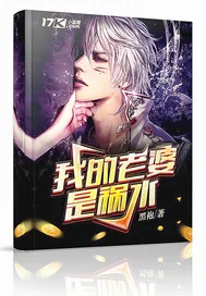 《我的老婆是祸水》小说封面
