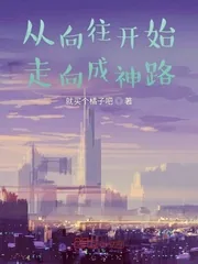 《从向往开始走向成神路》小说封面