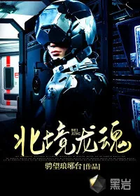 《北境龙魂》小说封面