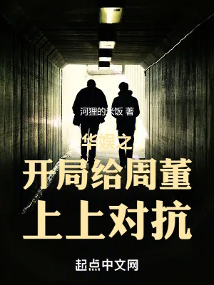 《华娱之2000》小说封面