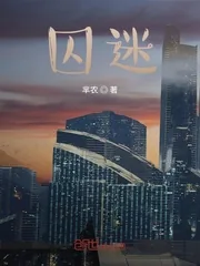 《囚迷》小说封面