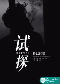 《试探》小说封面