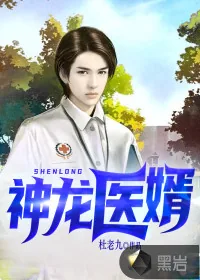 《神龙医婿》小说封面