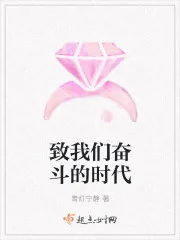 《致我们奋斗的时代》小说封面