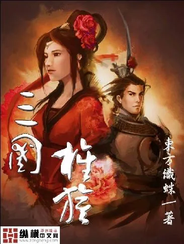 《三国旌旗》小说封面
