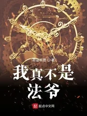 《我真不是法爷》小说封面