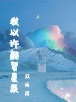 《我以许颜贺星辰》小说封面