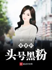 《老婆的头号黑粉》小说封面