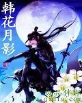 《韩花月影》小说封面