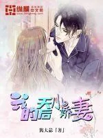 《我的天后小娇妻》小说封面