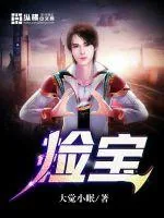 《捡宝》小说封面