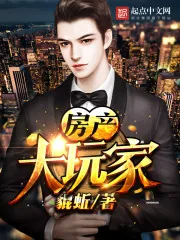 《房产大玩家》小说封面