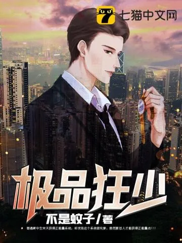 《极品狂少》小说封面