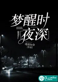 《梦醒时夜深》小说封面
