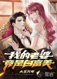 《我的老婆竟是白富美》小说封面