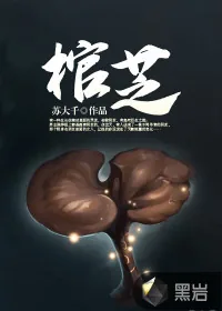《棺芝》小说封面