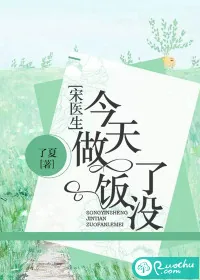《宋医生今天做饭了没》小说封面