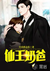 《仙王奶爸》小说封面