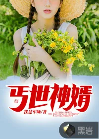 《丐世神婿》小说封面