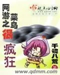 《网游之菜鸟很疯狂》小说封面
