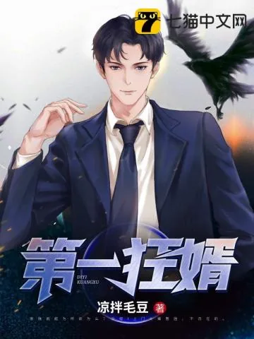 《第一狂婿》小说封面