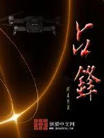 《占锋》小说封面