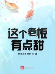 《这个老板有点甜》小说封面