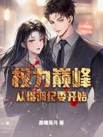 《权力巅峰从借调纪委开始》小说封面