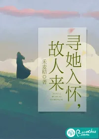 《寻她入怀，故人来》小说封面