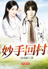 《妙手回村》小说封面