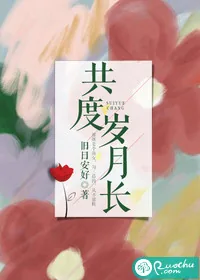 《共度岁月长》小说封面