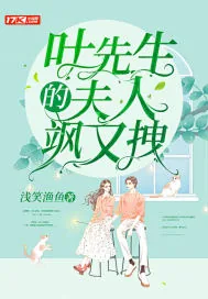 《叶先生的夫人飒又拽》小说封面