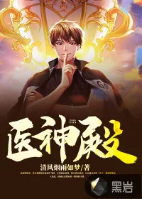 《医神殿》小说封面