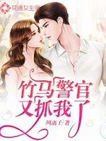 《竹马警官又抓我了》小说封面
