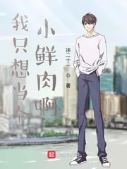 《我只想当个小鲜肉啊》小说封面