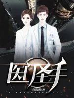 《医门圣手》小说封面