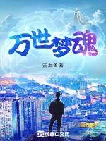 《万世梦魂》小说封面