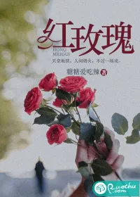 《红玫瑰》小说封面