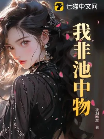 《我非池中物》小说封面