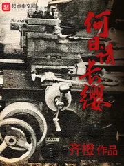 《何日请长缨》小说封面