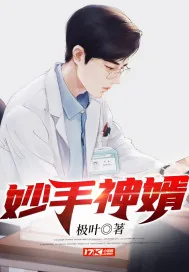 《妙手神婿》小说封面