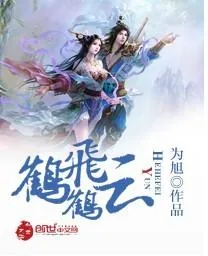 《鹤鹤飞云》小说封面