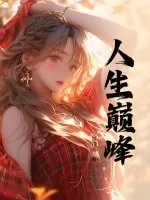 《人生巅峰》小说封面